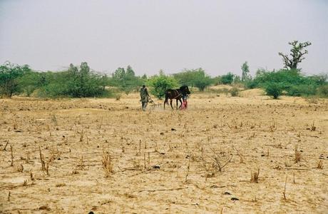 Dobbiamo prepararci alla fine del mondo?