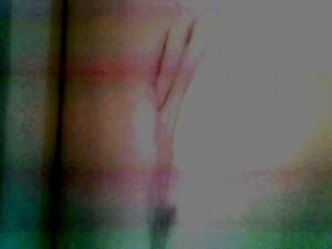 Aiuto! C’è un alieno nella mia stanza…