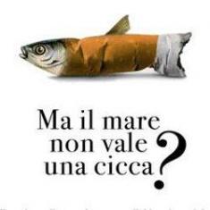 Ma il mare non vale una cicca?