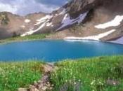 scopo genocidio globale ridurre popolazione, colpire bersagli selezionati