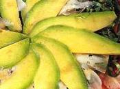 raffinato carpaccio…