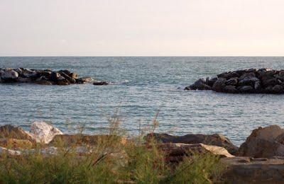 Omaggio a Marina di Pisa