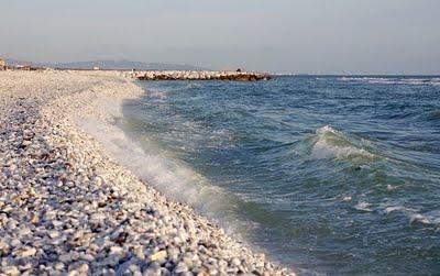 Omaggio a Marina di Pisa