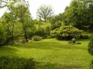 Legge per orti urbani e giardini pensili