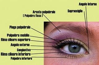 Terminologia e piccoli consigli per il trucco degli occhi