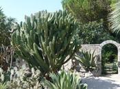 Happy Weekend Cutura Giardino Botanico