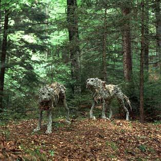 Arte Sella è una manifestazione internazionale di arte contemporanea che si svolge nei boschi della Val di Sella.