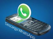 WhatsApp Nokia Symbian Disponibile C3-01