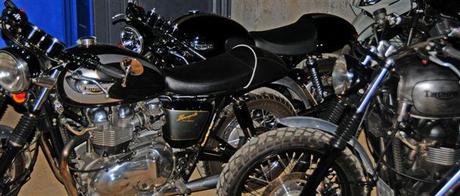 Summer Jamboree Two Thousand Eleven