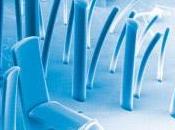 Nanoforum: Roma, 14-15 settembre 2011