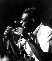 I Grandi del Blues: 49 - Howlin' Wolf