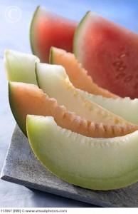 Slices of melon and watermelon