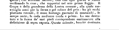 LA NUTRIA (Coypu o Castorino – Myocastor coypus) COME ANIMALE DOMESTICO DA COMPAGNIA (PET)