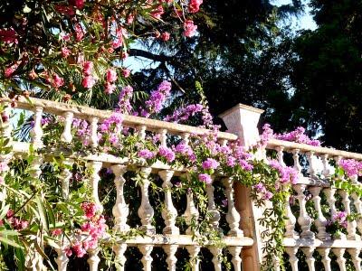 Tra Bougainvilles e case coloniali, Buyukada