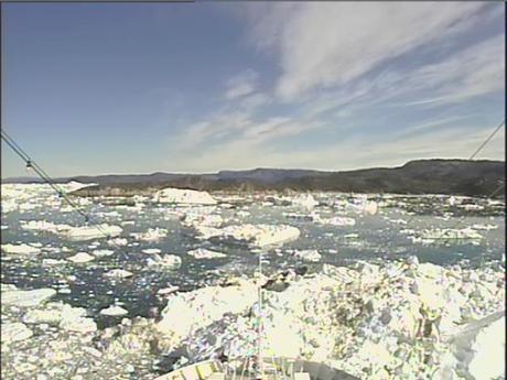 Spettacolo dalla deliziosa