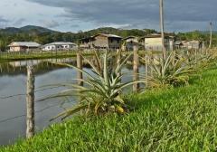 viaggi,asia,borneo,malesia