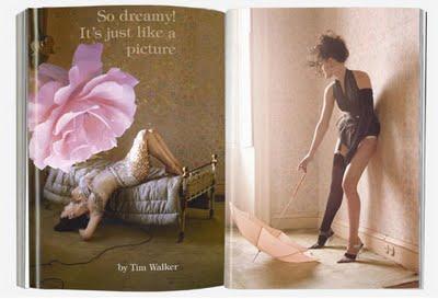 TIM WALKER FLOWERS
