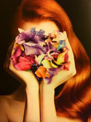 TIM WALKER FLOWERS