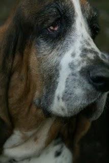 FACEBOOK E LA SOLIDARIETA' DEGLI SCONOSCIUTI