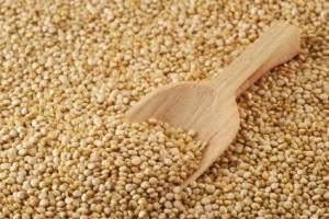 quinoa-grains