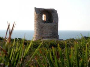 Terrasini: Visita gratuita alla riserva di Capo Rama