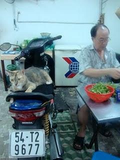 Immagini vietnamite-Saigon e il sud - parte seconda