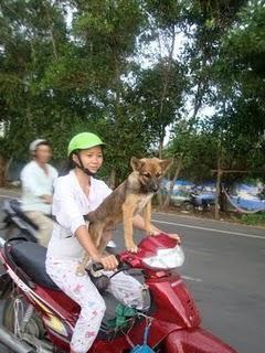 Immagini vietnamite-Saigon e il sud - parte seconda