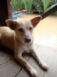 Immagini vietnamite-Saigon e il sud - parte seconda