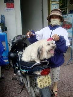 Immagini vietnamite-Saigon e il sud - parte prima