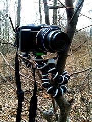 gorillapod