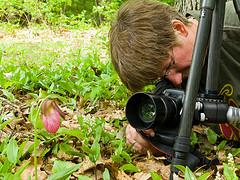 Ellen shoots the pink lady's slipper