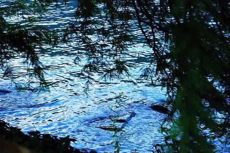 Orta's Lake