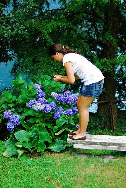 Orta's Lake