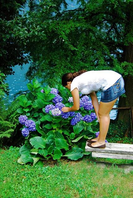 Orta's Lake