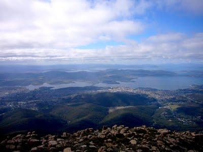 L'angelo delle foreste di Tasmania