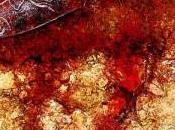 Disordini Bagheria.Giovane arrestato aver sgozzato cognato