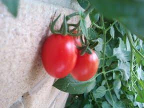 Passeggiando sul balcone...