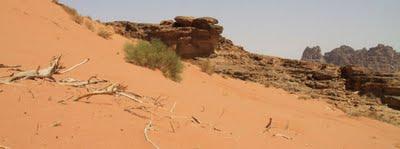 viaggio in Giordania, terzo giorno, il Wadi Rum