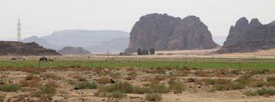 viaggio in Giordania, terzo giorno, il Wadi Rum