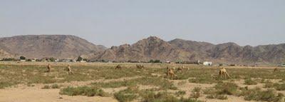 viaggio in Giordania, terzo giorno, il Wadi Rum