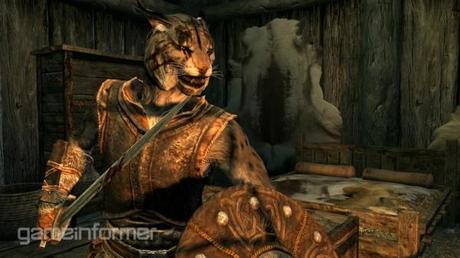 Skyrim, altre immagini sulle razze