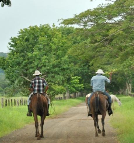 Guanacaste.