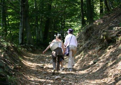 La pera del Poncione e i riflessi sul lago