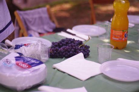 Un ferragosto in campagna