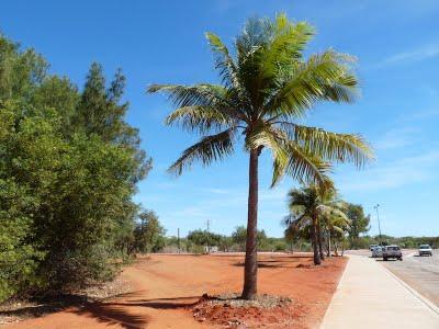 Visto da Elisa - Australia vol.3 (ancora Broome)