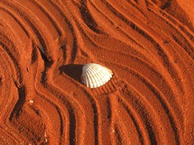 Visto da Elisa - Australia vol.3 (ancora Broome)