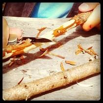 Coltellini  e bambini : quando e' il momento?