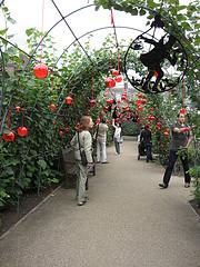 Kensington Palace...garden