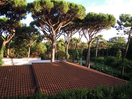 Summer Outfit [n°1]