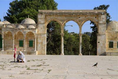 viaggio in Giordania, sesto giorno, il passaggio in Israele, la Spianata delle Moschee